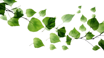 Wall Mural - PNG Ink green leaves backgrounds plant leaf.