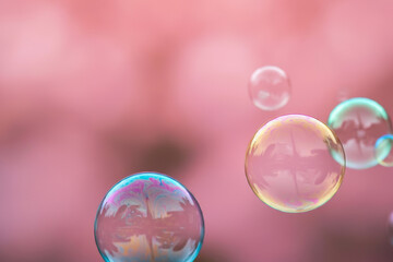 Wall Mural - Fantasy soap bubbles with pink bokeh background