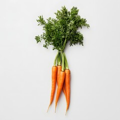 Wall Mural - 176. A fresh bunch of carrots isolated on a plain white background