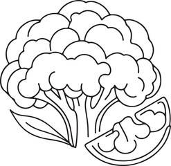 Wall Mural - hand drawn cauliflower vector