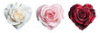 A beautiful collection of heart-shaped roses in white, pink, and red colors, perfect for any romantic occasion., transparent background.