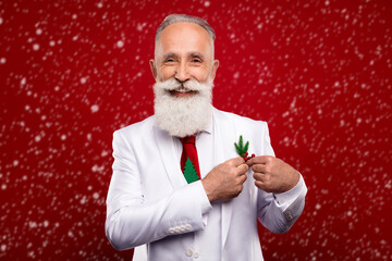 Canvas Print - Photo of cool elder white hair elegant man wear white jacket isolated on red color background