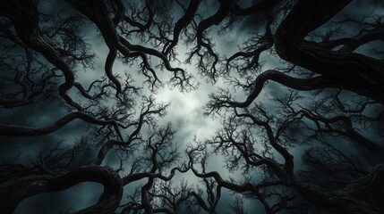 Wall Mural - a dark forest with trees that are twisted and gnarled. the trees are tall and the sky is cloudy. sce