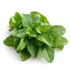 Wall Mural - 274. A fresh bunch of mint leaves isolated on a clean white background