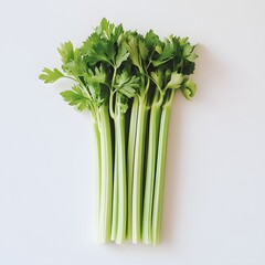 Wall Mural - 223. A fresh bunch of celery isolated on a pristine white background