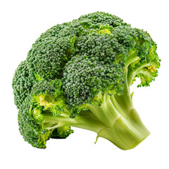 Poster - Fresh broccoli with florets forming a textured green head of healthy vegetable
