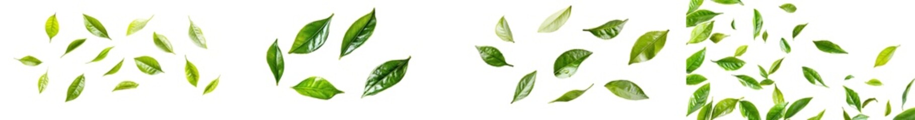 Poster - Flying green leaves isolated on a white background.