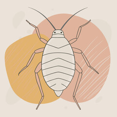 An Aphid vector silhouette line art type isolated on a white background