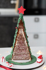 Close-up shot of a delicious cake made in a Christmas style