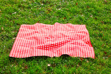 Wall Mural - One checkered picnic tablecloth on green grass