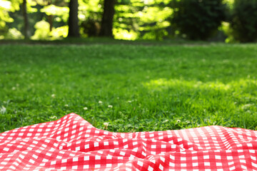 Canvas Print - Checkered picnic tablecloth on green grass, closeup. Space for text