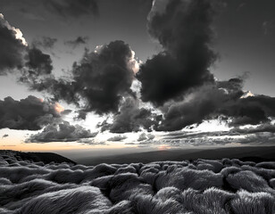 Wall Mural - black white clouds sunset