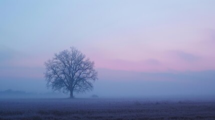 Sticker - Solitary Tree in Foggy Dawn