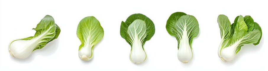 Poster - An isolated flat lay of fresh salad vegetables, organic food, with bok choy leaves on the background.