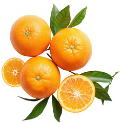 Three oranges and one orange slice are on a leaf