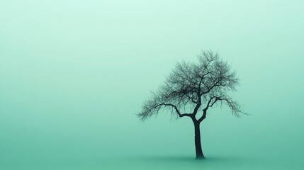 A lonely tree silhouette symbolizing depression, set on a solid light green background with soft lighting. Focus on the tree. No people.