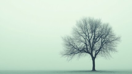 A lonely tree silhouette symbolizing depression, set on a solid light green background with soft lighting. Focus on the tree. No people.