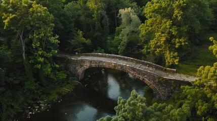 Canvas Print - Stone Bridge Over River in Lush Green Forest