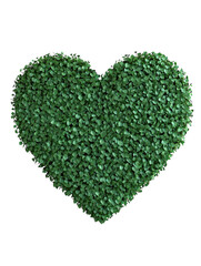 Poster - Heart shape made of green plants and leaves, symbolizing love for nature on a white background. PNG transparent.