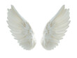 © Asier - White angel wings with delicate feathers on white background. PNG transparent.