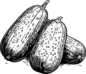 Wall Mural - Hand-Drawn Vector of Three Cucumbers in Black and White