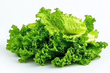 Poster - Fresh Green Lettuce Leaves Resting on a White Background Ready for Salad Preparation
