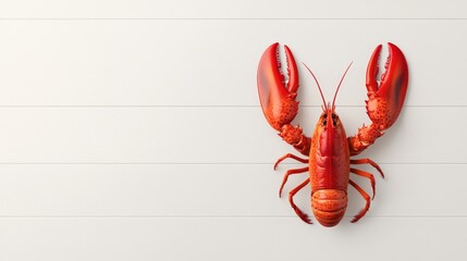 Wall Mural - Red lobster, ocean seafood, gourmet shellfish cuisine.