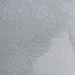 Sticker - Close-up view of a textured surface. The texture appears to be a series of fine, intricate patterns resembling fingerprints or a similar organic pattern.