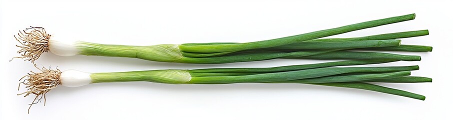 Flat lay view of fresh salad vegetables, healthy with organic ingredients, bundle of green onions with leaves isolated on background.