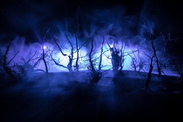 Wall Mural - spooky dark landscape showing silhouettes of trees in the swamp on misty night.