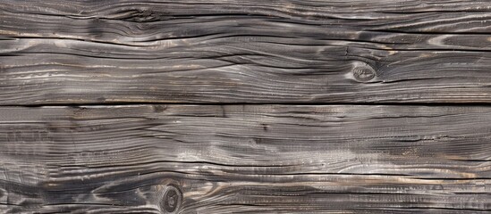 Poster - Grey oak wood texture. Copy space image. Place for adding text and design