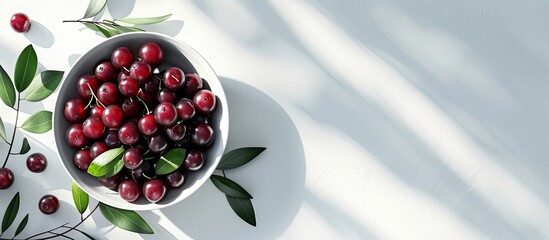 Canvas Print - Delicious fresh bilberries in a bowl on a white table close up Room for text. Copy space image. Place for adding text and design