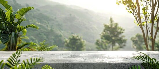 Poster - terrace of the natural backdrop. copy space image. place for adding text and design