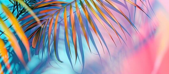 Wall Mural - Tropical palm leaf set against a colorful background. Copy space image. Place for adding text and design