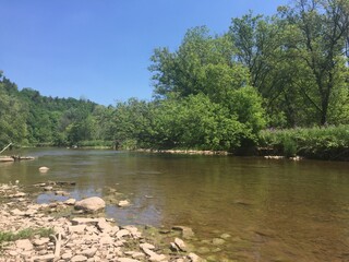 lake in the park