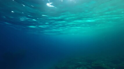 Poster - Sunlight shining through the surface of clear blue ocean water, creating beautiful ripples of light. The deep blue color evokes a sense of peace and tranquility