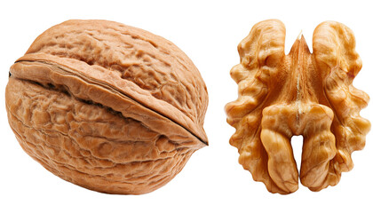 Isolated walnut nut on a white background, highlighting its unique shape and rich brown color