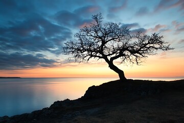 Poster - Silhouette of a tree on a cliff at sunset with colorful clouds