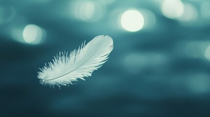 Wall Mural - A single, soft white feather floating gently through the air