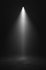 a single spotlight shines in a dark room, creating a dramatic and focused illumination that highligh