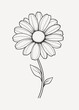 © Rawpixel.com - Simple daisy flower line drawing