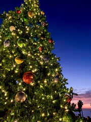 California Christmas tree decorated with red, green, blue, silver, gold ornaments on beach by ocean