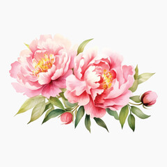 Canvas Print - Elegant watercolor pink peonies