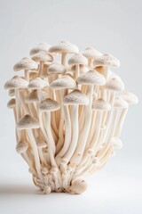 Poster - A group of mushrooms stacked on top of each other in nature
