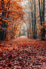 Aufkleber - A serene forest path surrounded by fallen leaves, perfect for autumn-themed projects or outdoor scenes