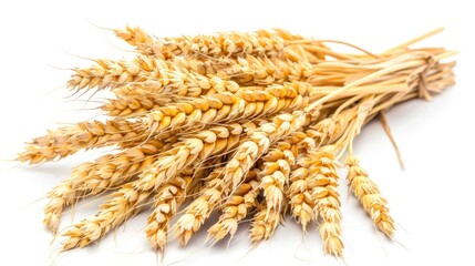 Poster - A bundle of wheat placed on a white background