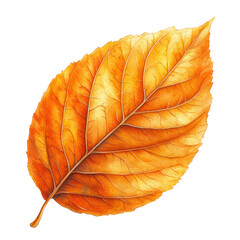 Wall Mural - orange leaf.