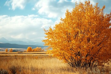 Sticker - Golden autumn tree in a field with blue sky and mountains in the background.