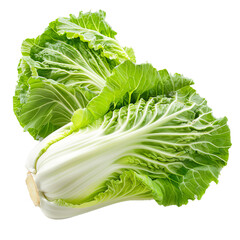 Poster - Two fresh and ripe napa cabbage heads are laying on a white background