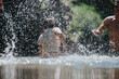 © qunica.com - Two people joyfully splash in the water during a sunny summer day, capturing the essence of fun and friendship in a natural setting.